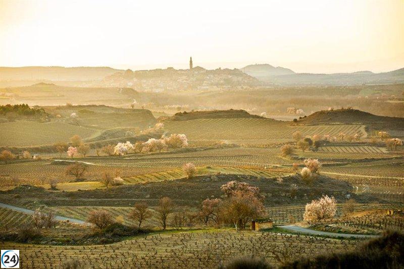 El Consejo Regulador aplaude avances en protección del paisaje de Rioja.