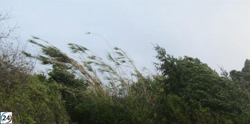 Fuerte viento amarillo en La Ibérica riojana mañana miércoles.