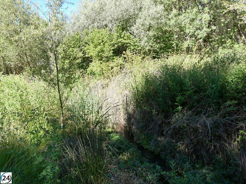 Amigos de la Tierra denuncian que el río Linares se está secando debido al uso excesivo de agua para la agricultura en La Rioja.