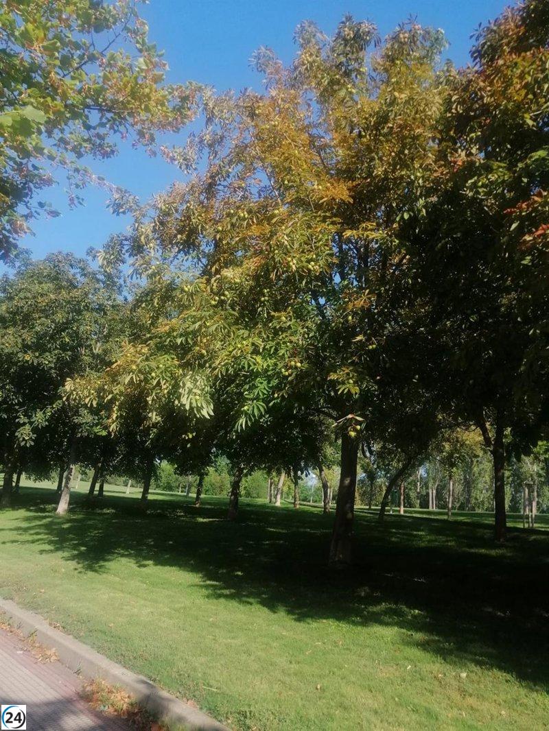 Logroño necesita una revisión urgente en la gestión del arbolado, según Ecologistas en Acción.