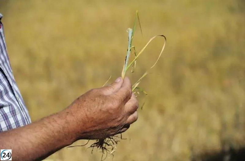 Más de 2,5 millones de euros para ayudar a paliar los efectos de la sequía.