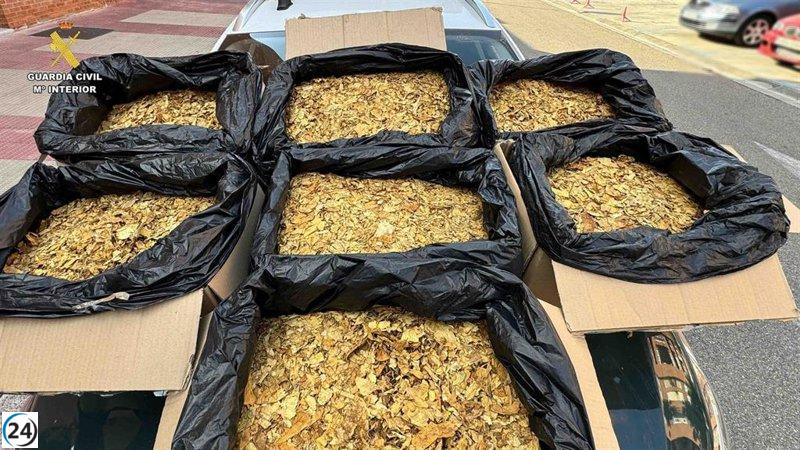 La Guardia Civil decomisa 43 kilos de tabaco de contrabando en Logroño.