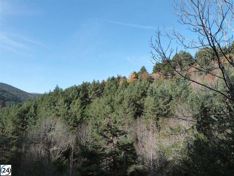 Amigos de la Tierra La Rioja exige al Gobierno regional más claridad en la información ambiental.