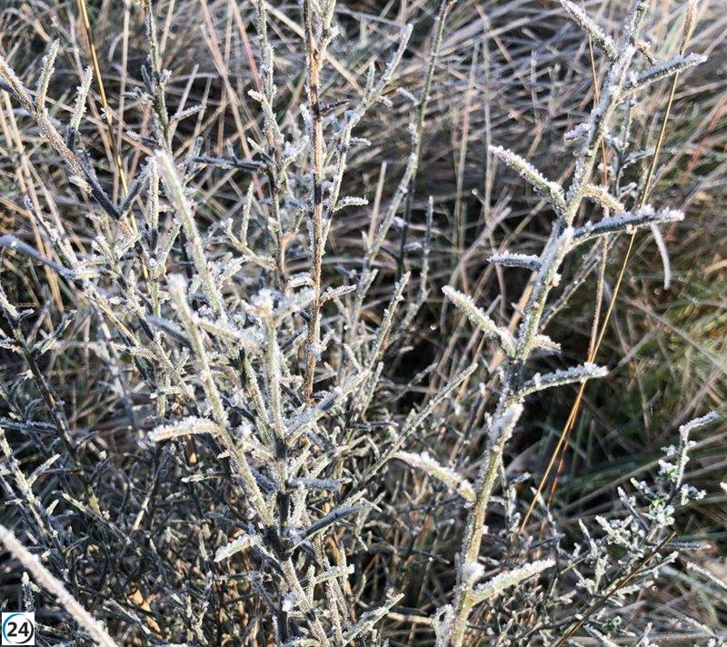 La Ibérica riojana se prepara para una fría madrugada con temperaturas de hasta -6 grados.