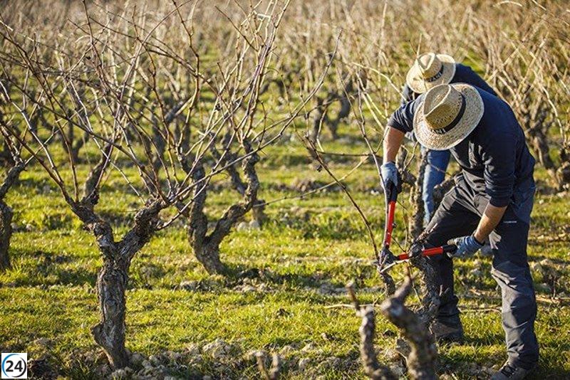 La nueva ley de incentivos fiscales generará un ahorro de 5 millones para 1,764 trabajadores rurales.