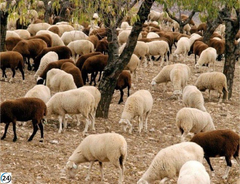 Se lanzan ayudas de 27.000 euros para promover razas autóctonas de España.