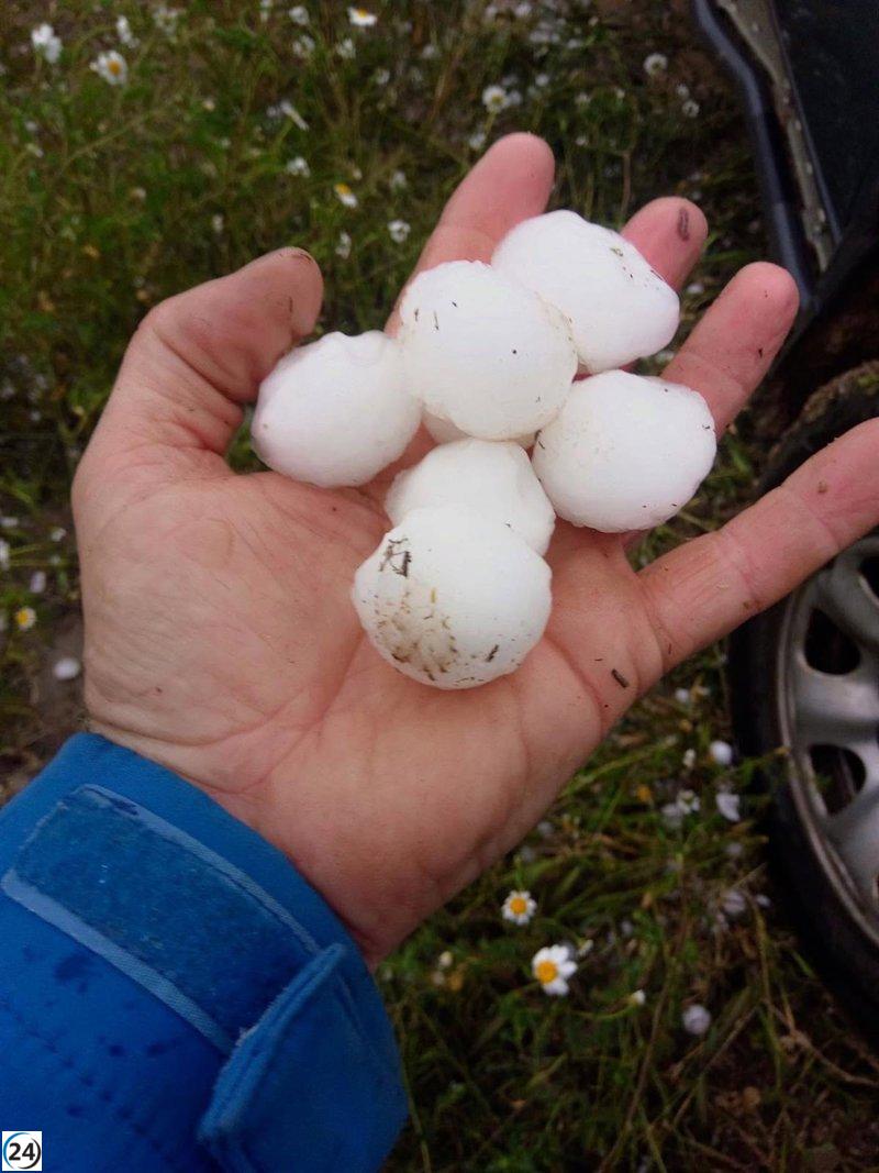 Manzanos alerta sobre pérdidas superiores al 80% en áreas afectadas por granizadas.