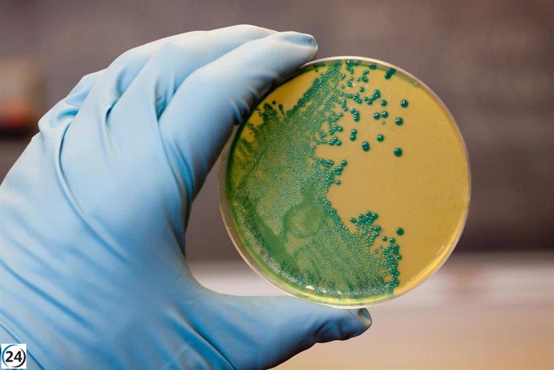 Informe de UNIR revela incremento de listeriosis en gestantes con consecuencias adversas para el feto.