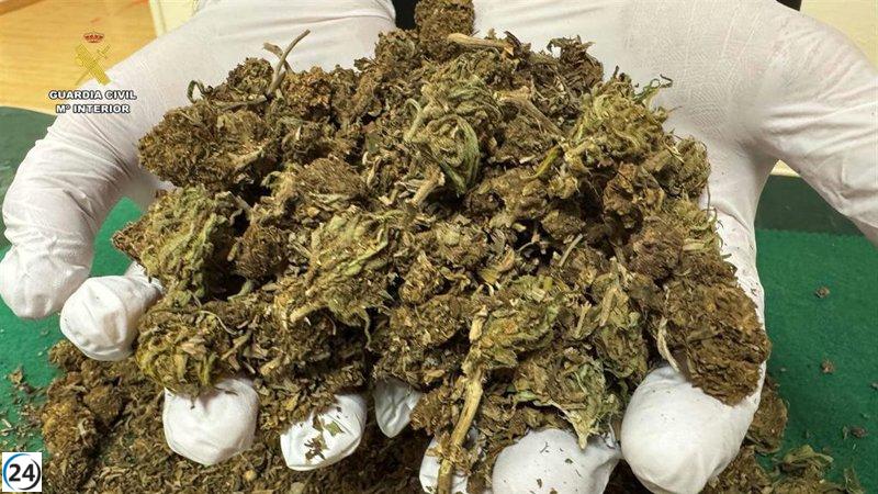 Intervienen 209 gramos de marihuana en Arnedillo tras enfrentamiento violento.