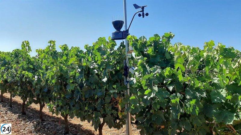 Datadoc: Innovador proyecto de Rioja revela hallazgos clave sobre el cambio climático.