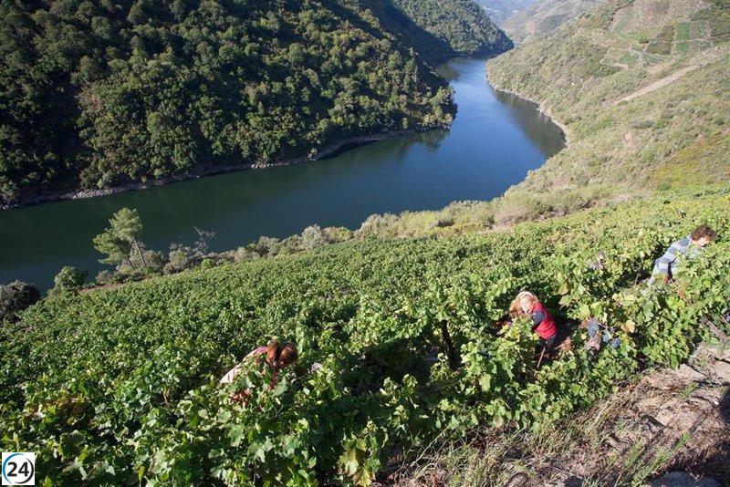 El gobierno y las comunidades autónomas destinan 195 millones a 16 proyectos en la industria del vino, con 9,8 millones asignados a La Rioja.