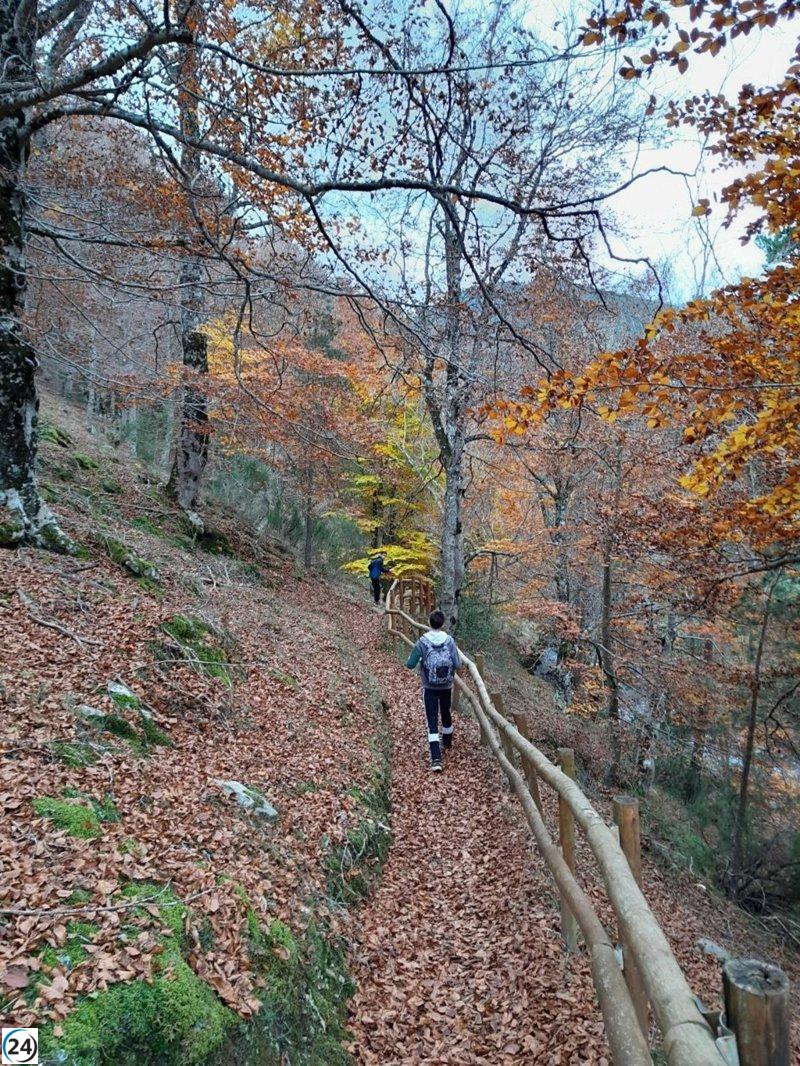 Ecologistas en Acción critica la nueva Ley del Paisaje de La Rioja por su falta de inclusión y efectividad.
