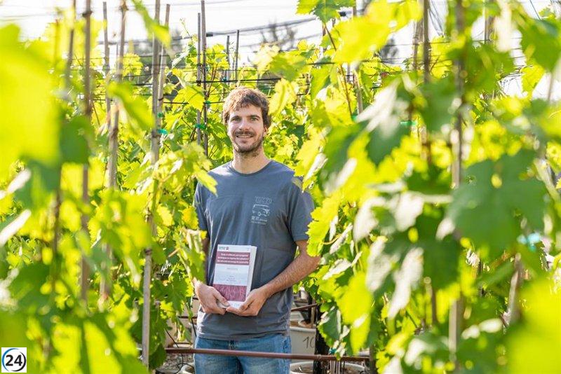 Acolchados orgánicos en viñedos: una solución sostenible ante el cambio climático.