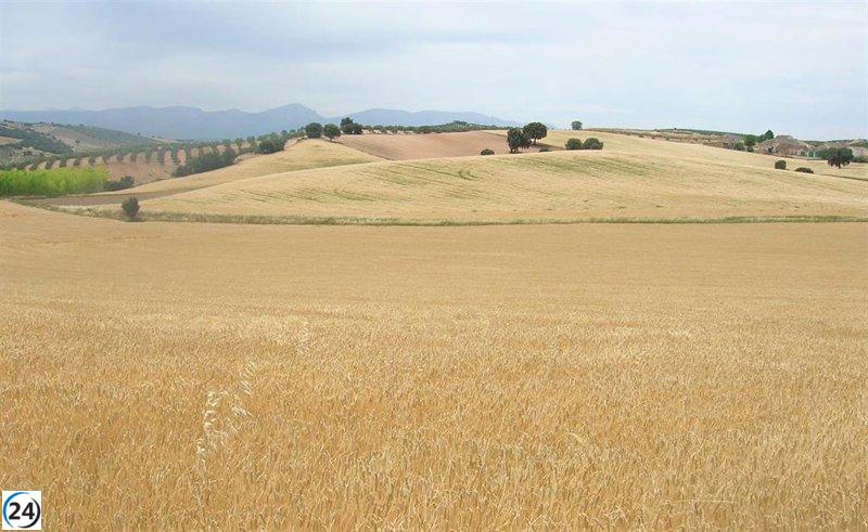 El proyecto CERES revolucionará la agricultura al reducir en un 80% el tiempo dedicado al control de plagas.
