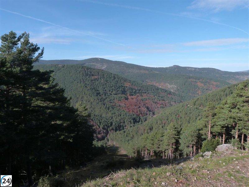 Ecologistas en Acción denuncia ante el Defensor del Pueblo la posible inconstitucionalidad de la reforma de la Ley de Biodiversidad.