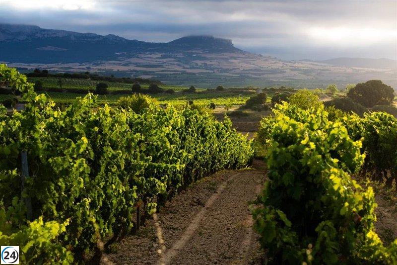 Se abre el proceso para solicitar la revisión de rendimientos en Rioja el 11 de agosto de 2025.