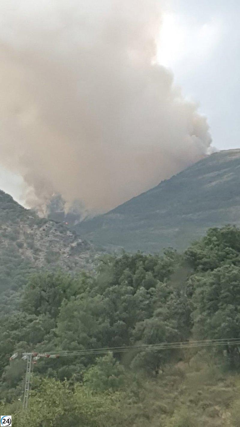 Incendios en Mansilla y Gimileo contenidos tras afectar 50 hectáreas.