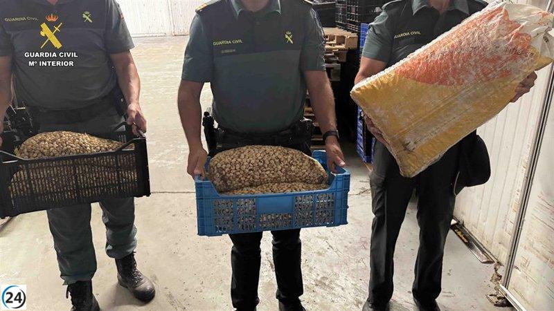 La Guardia Civil detiene en La Rioja un tráfico ilegal de 430 kilos de caracoles destinados a su venta en Albacete.