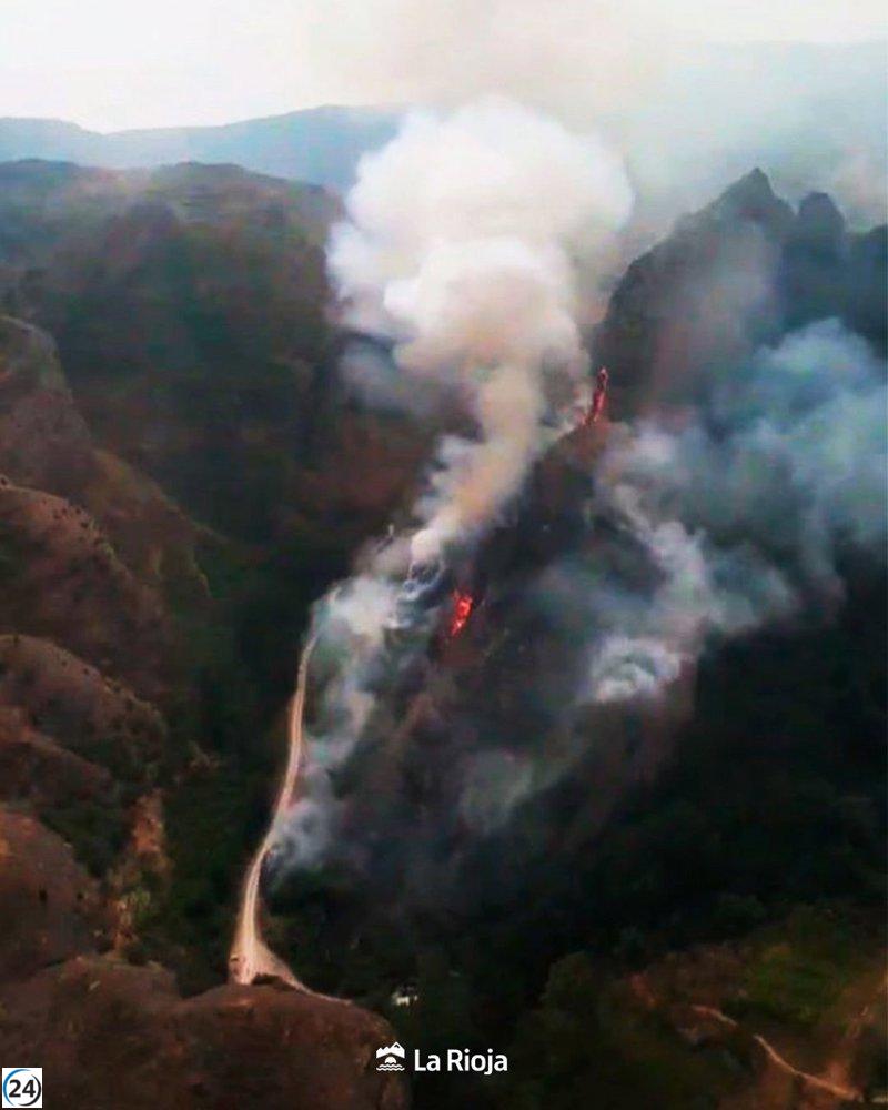 Incendio en Peñas de Viguera extinguido tras devastar 1,4 hectáreas.
