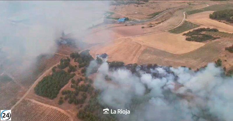 Bomberos combaten incendio en el Ecoparque.