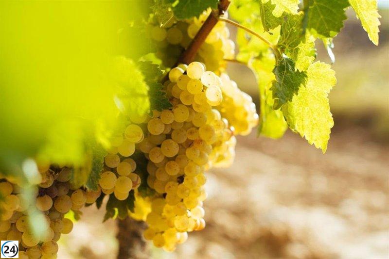 El segundo informe del Consejo Regulador de la DOCa Rioja garantiza un estado sanitario 