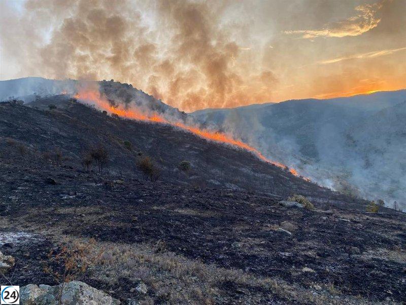 Manzanos afirma que están construyendo un equipo profesional sólido para combatir incendios.