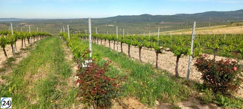 La Rioja destina 6,2 millones para modernizar y mejorar explotaciones agrícolas.