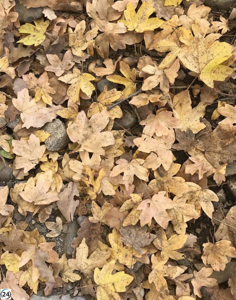 San Mateo marca el inicio de un otoño excepcionalmente cálido con temperaturas de hasta 24 grados.
