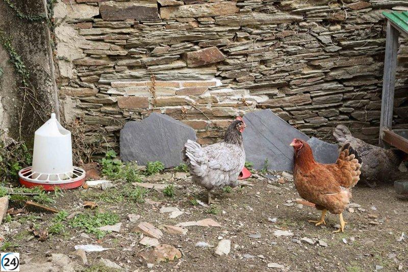 Manzanos insta a los riojanos a cumplir el confinamiento de sus aves y reportar contagios.