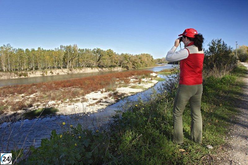 Detectan el primer caso de gripe aviar en aves silvestres de La Rioja.