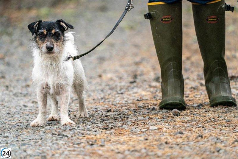 Luna se corona como el nombre de perro más popular en La Rioja en 2025.