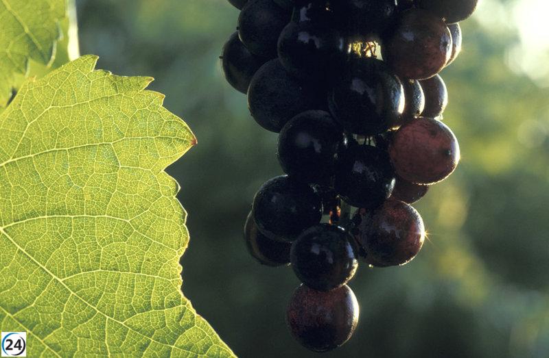 La inversión de 5,95 millones de euros llega a La Rioja para programas agrícolas y ganaderos.