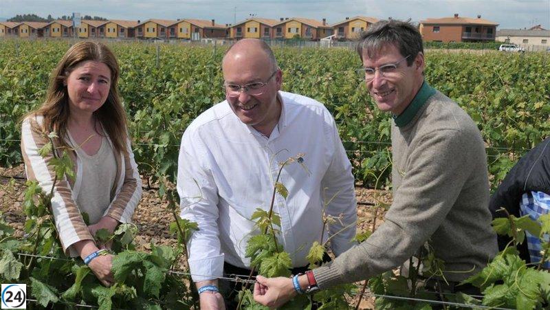 El PP unificará Consejerías de Transición Ecológica y Agricultura para coordinar políticas.