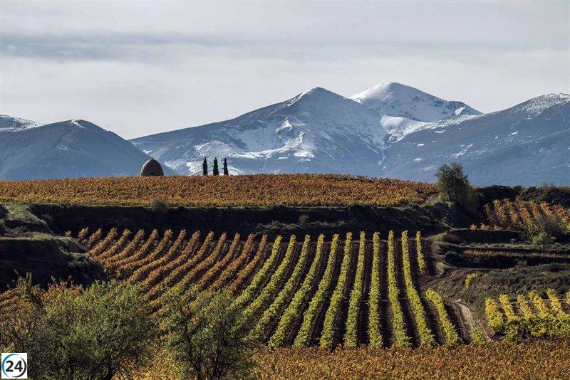 El Gobierno aprueba la modificación de la DOC Rioja para proteger sus viñedos.