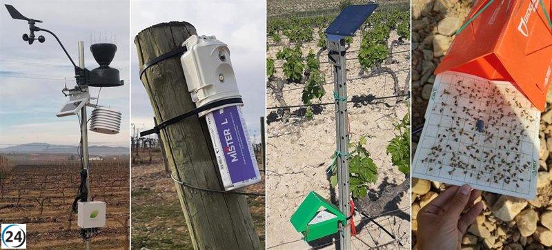 El proyecto SIGIS sigue combatiendo la polilla de racimo en su segunda temporada.