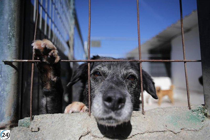 El Gobierno aprueba derogación de la Ley de Protección Animal