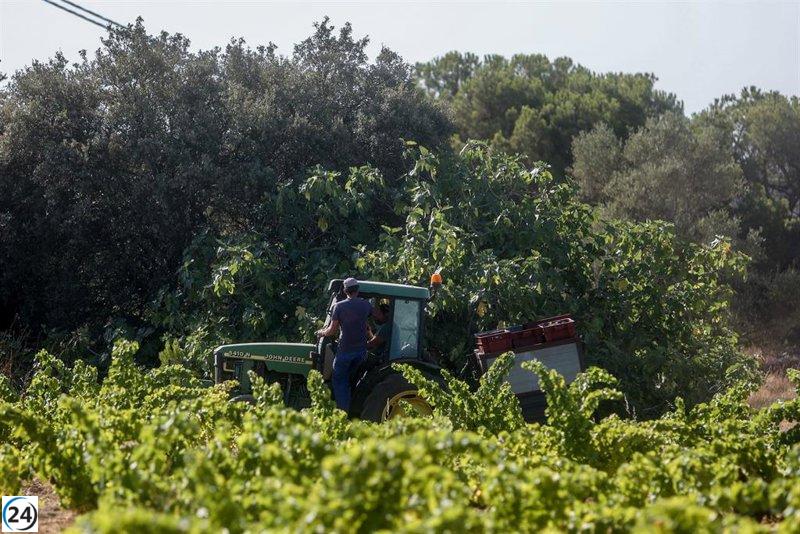 Agricultura y OPAS se comprometen a reuniones periódicas para abordar desafíos del sector