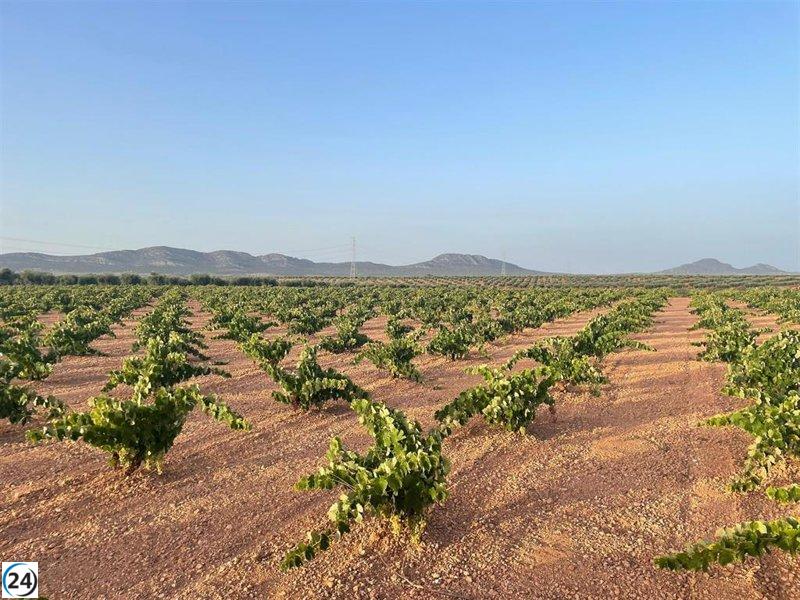 Se destinan 400.000 euros en ayudas para aliviar intereses de créditos agrarios afectados por la sequía
