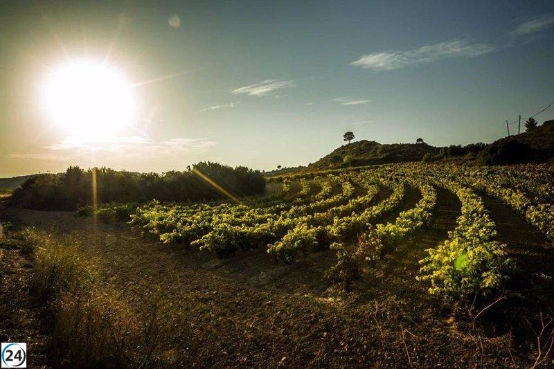 El Consejo Regulador de Rioja decide bloquear nuevas plantaciones durante los próximos tres años.