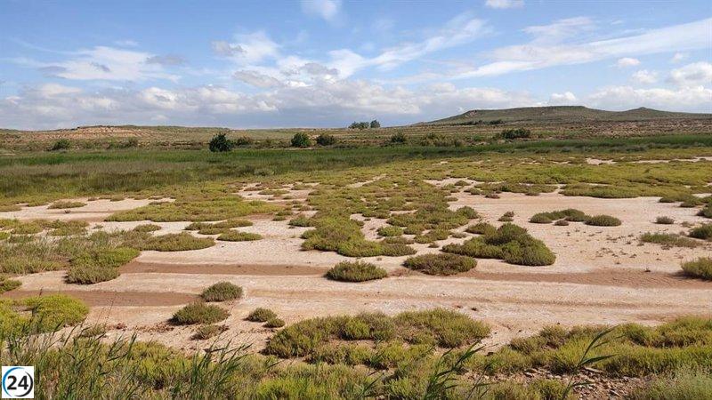 Amigos de la Tierra de La Rioja denuncia el 
