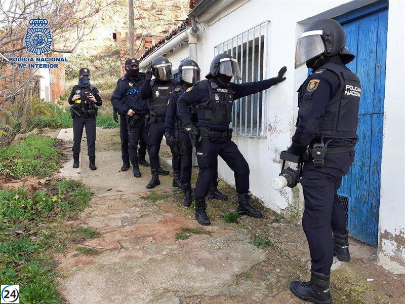 Desarticulan plantación clandestina de marihuana con 300 plantas destinadas a la venta durante las festividades navideñas en Arnedo