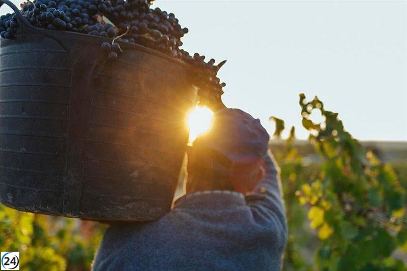 El sector agrícola de la DOCa Rioja apoya las limitaciones de cultivo de viñedos durante los próximos 3 años, respaldadas por el Ministerio de Agricultura.