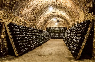 Conoce las bodegas más emblemáticas de la región