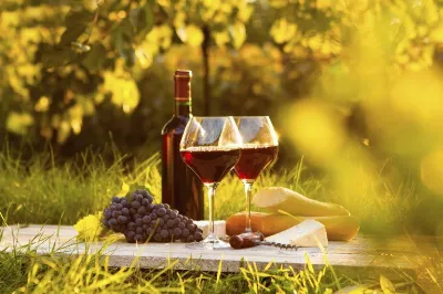 La Rioja: el destino ideal para los amantes del vino