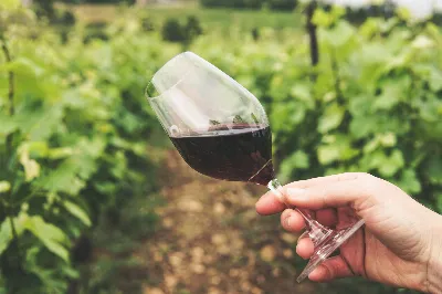 La influencia del clima en los vinos riojanos