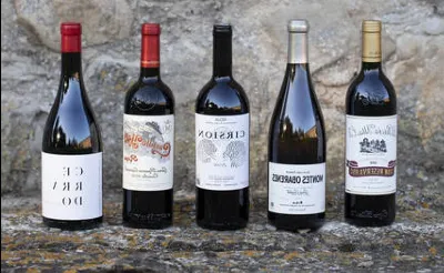 Los vinos más reconocidos internacionalmente de la Denominación de Origen