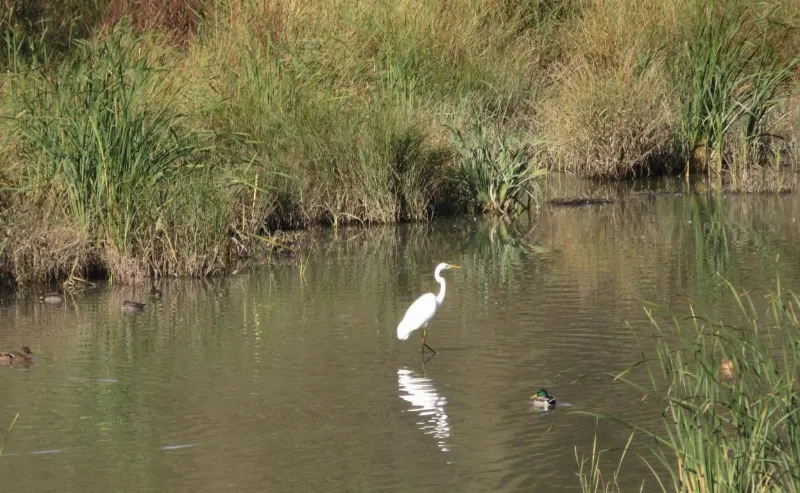 La Rioja, destino de turismo ornitológico