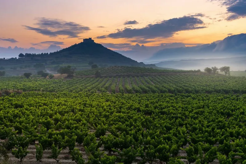 La Rioja y sus paisajes de ensueño para una escapada rural
