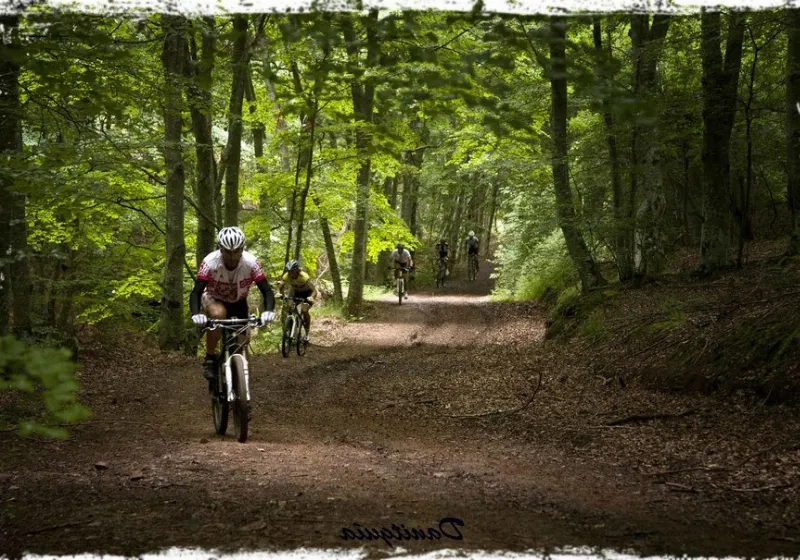 Ciclismo de montaña en la Sierra de la Demanda