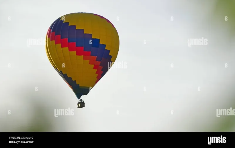 Excursión en globo por la región vinícola